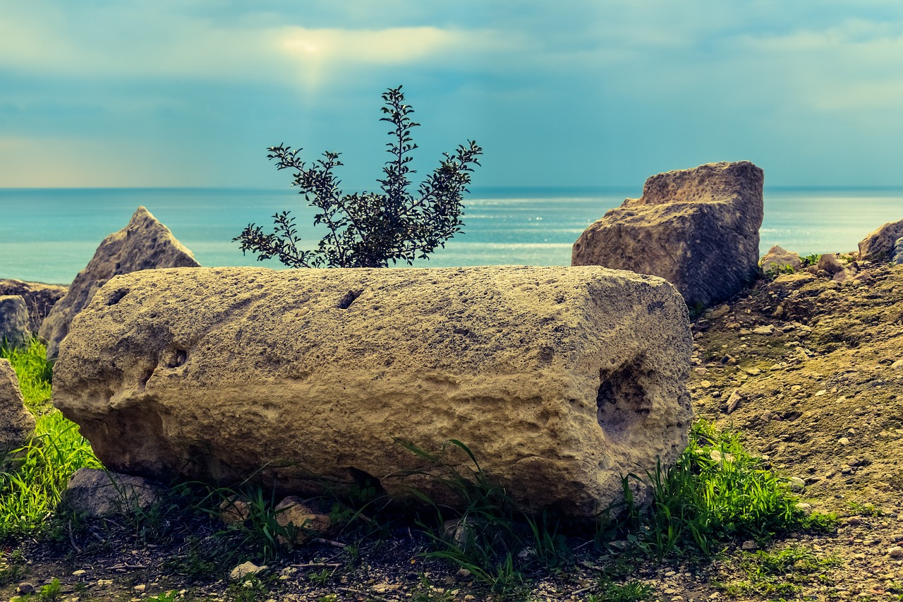 The Importance of Archaeological Conferences and Symposiums